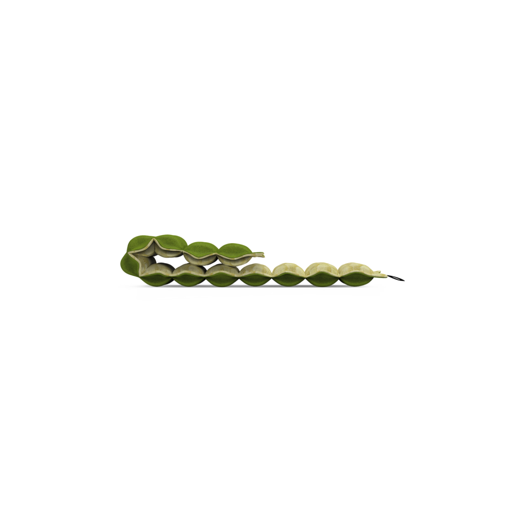 Laylow Raft (Green, side view)