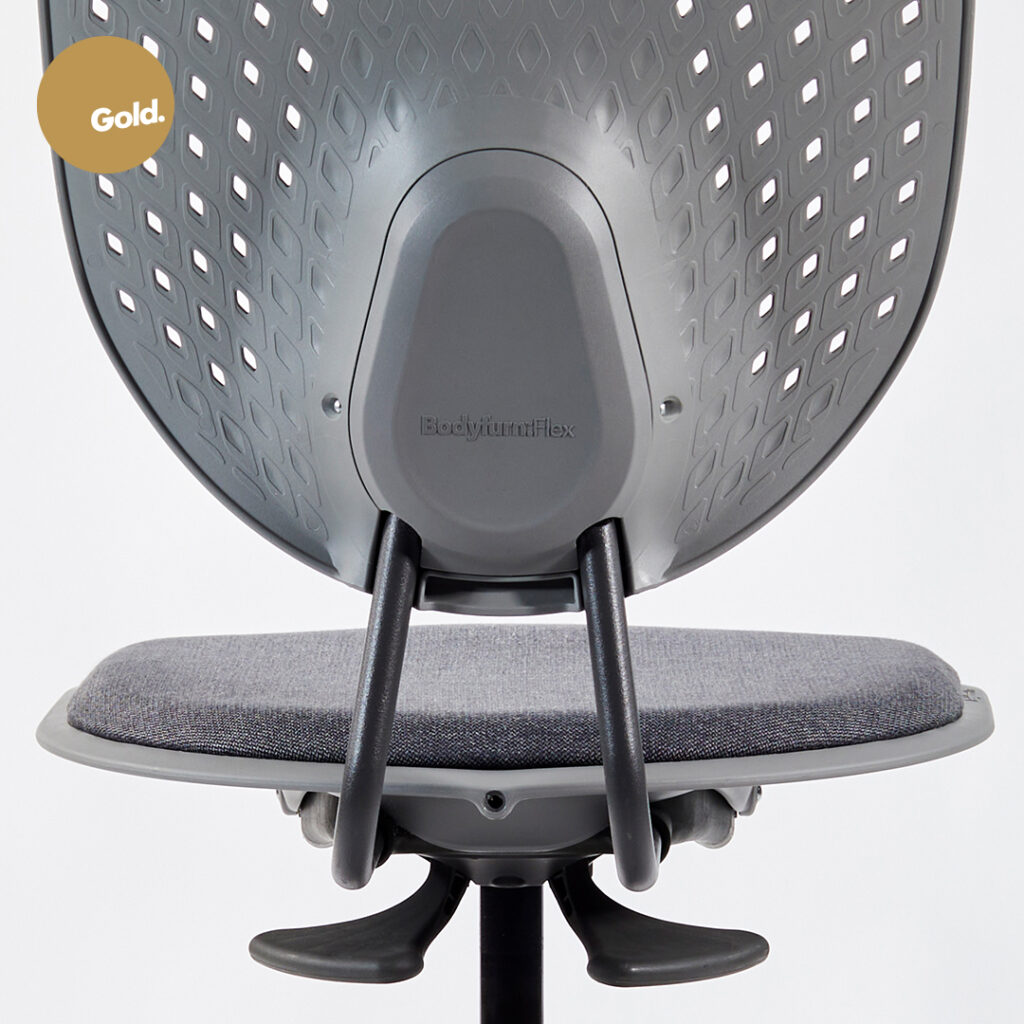 Rear view of the Bodyfurn Flex gas-lift chair, winner of a Gold Best Design Award